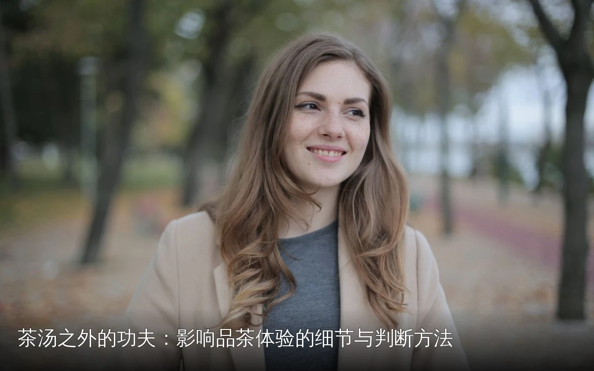 茶汤之外的功夫：影响品茶体验的细节与判断方法